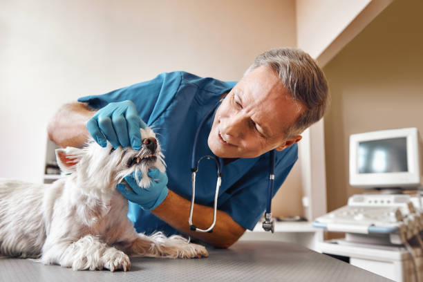 Best Emergency Root Canal Treatment in Alpharetta, GA